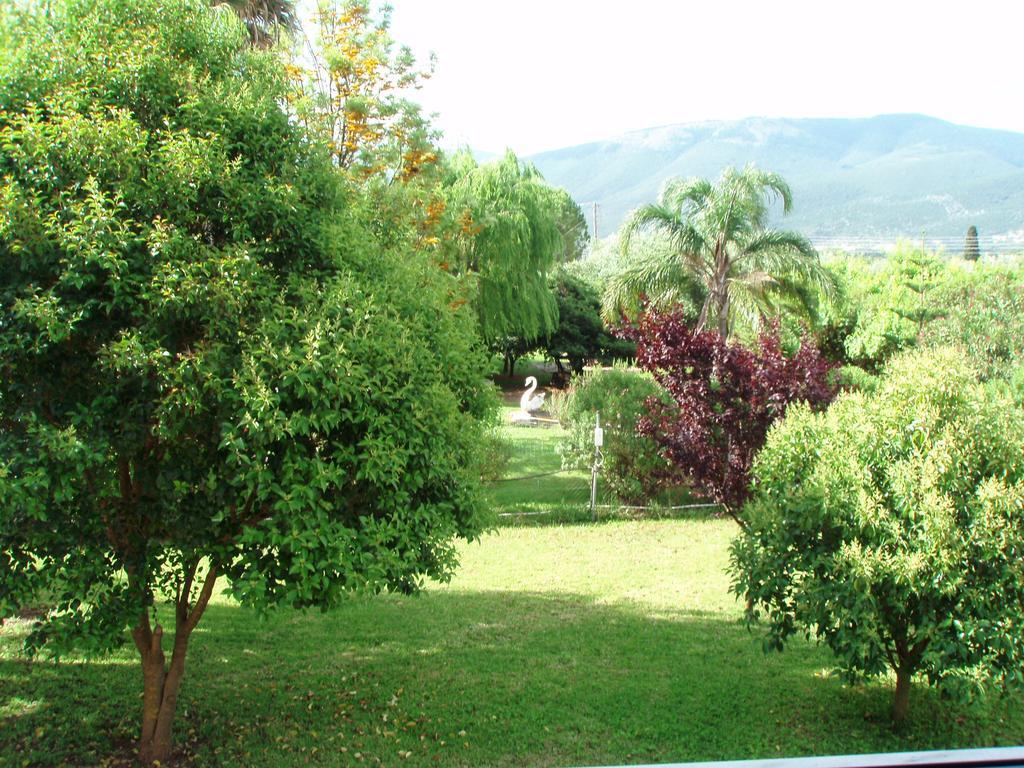Finikes Studios Kefalonia Sami  Exterior foto